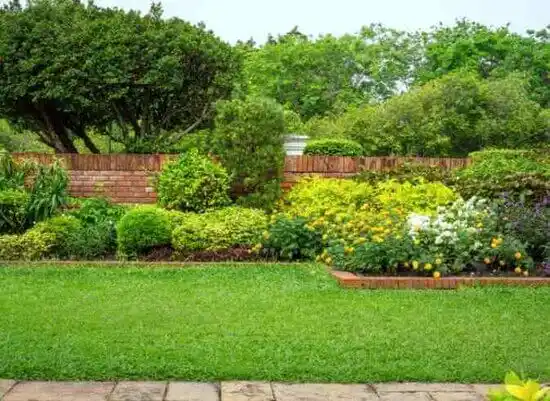 landscaping services Chevy Chase Village